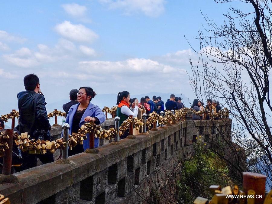 ???? ??????? ?????? ?? ?????????? ????? ???? ?????