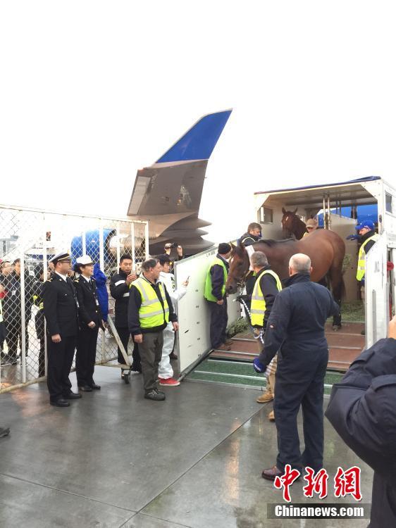 ???? 47 ????? ????? ?? ???????? ??? ????? ??????