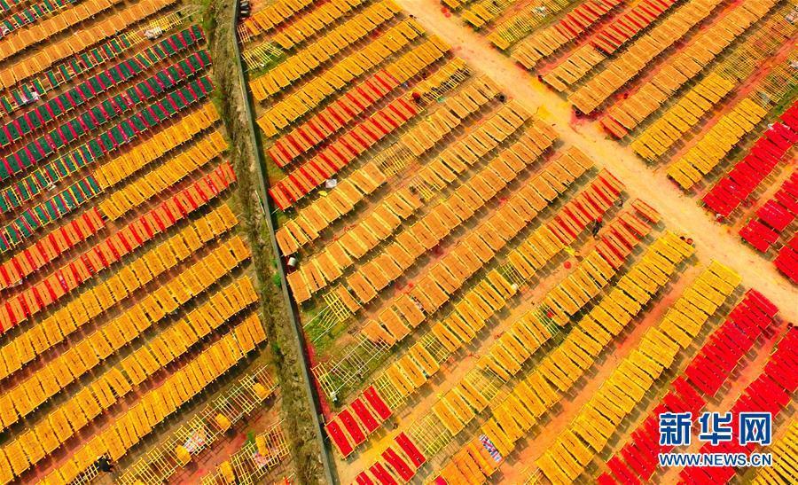 ????? ?????? ????? ?????? ?????? ?? ????????? ??? 300 ???