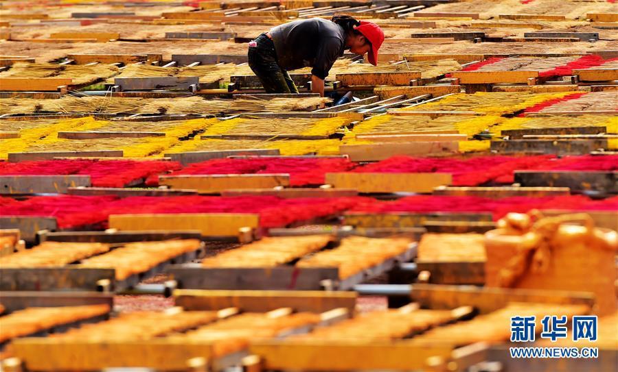 ????? ?????? ????? ?????? ?????? ?? ????????? ??? 300 ???