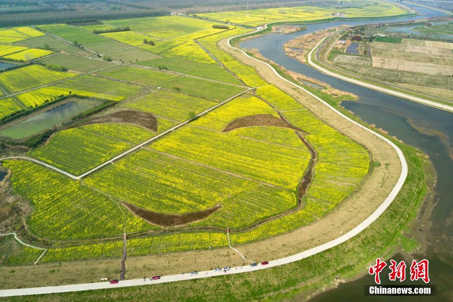 ??? ????? ?? ?????? ?? ???????