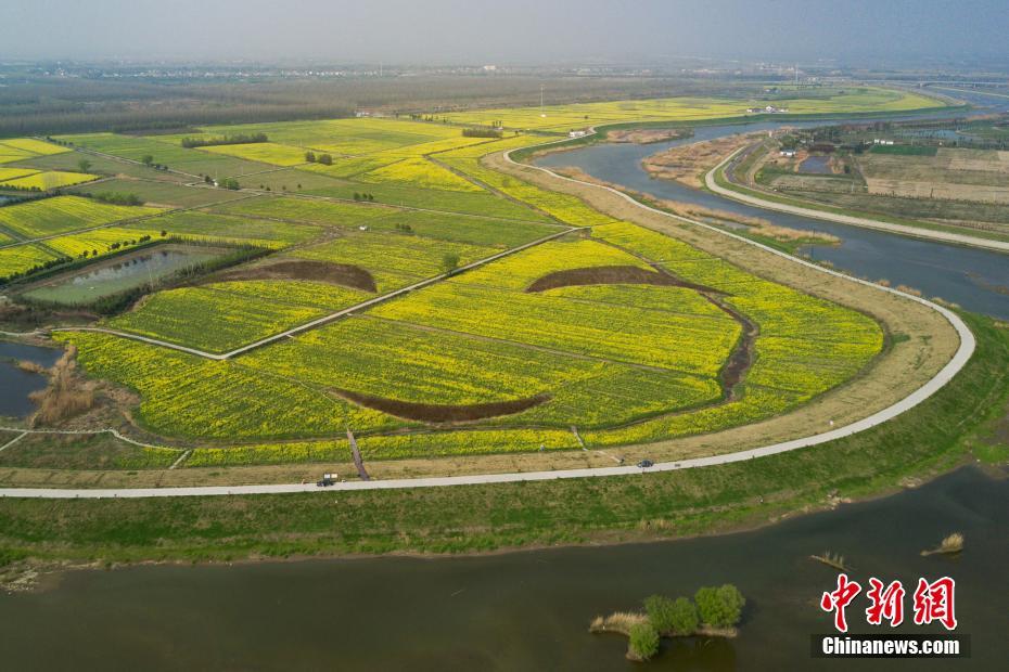 ??? ????? ?? ?????? ?? ???????