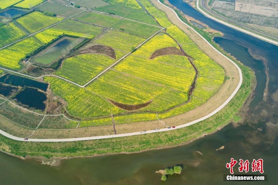 ??? ????? ?? ?????? ?? ???????