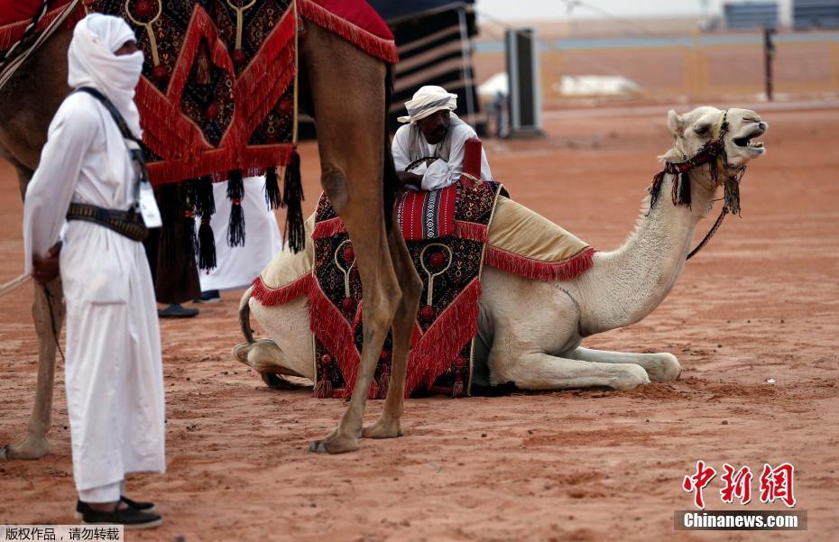 ????: ?????? ???? ????? ?? ????????