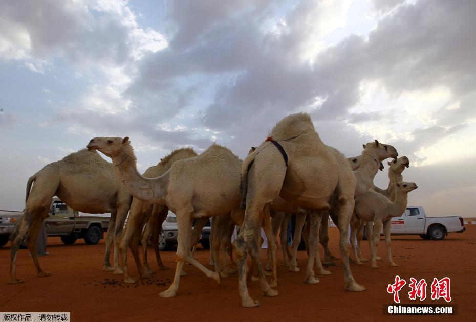 ????: ?????? ???? ????? ?? ????????