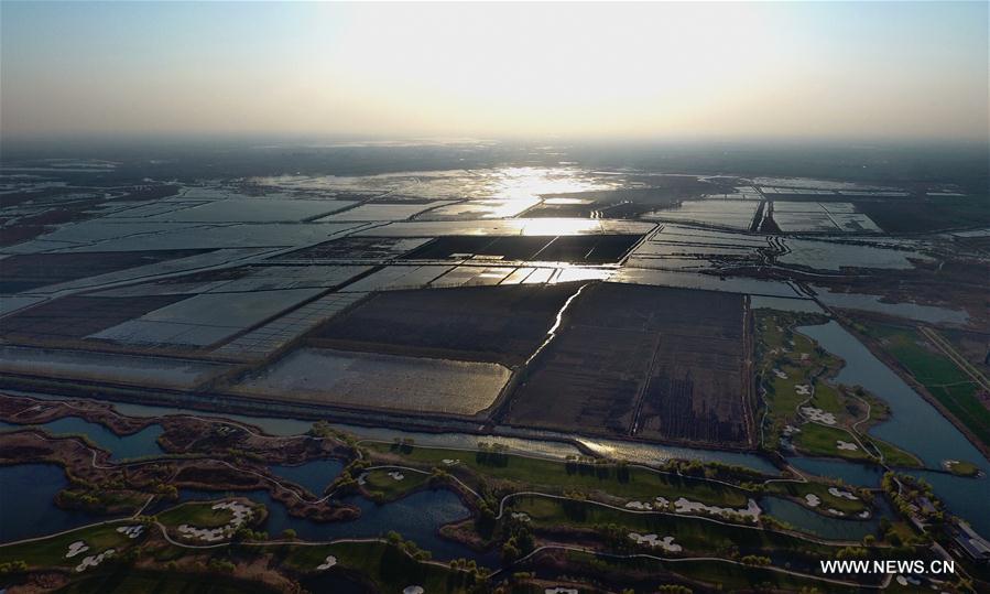 ????? ???? ????? ??????? ??????? ?? ???