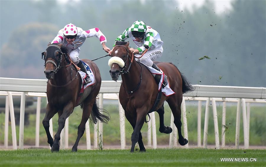 ?????:??? ???? ??????? ???????? ??? ????? ????????? ??? 100 ????? ????? ?????? ???? ??????