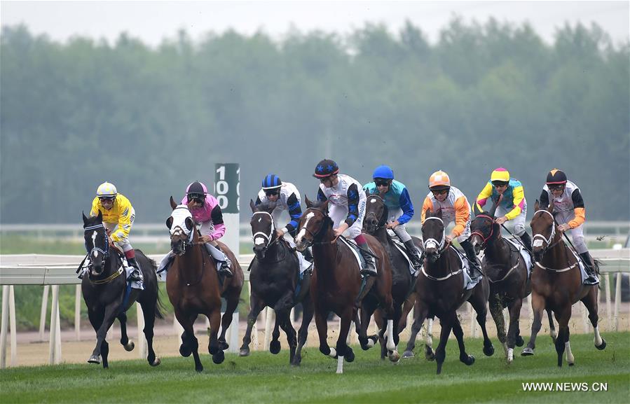 ?????:??? ???? ??????? ???????? ??? ????? ????????? ??? 100 ????? ????? ?????? ???? ??????