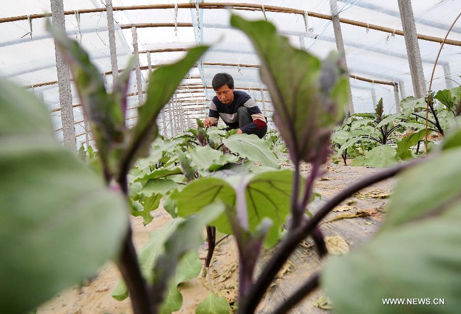 ???? ????? ?????? ?? ????? ???? ??? ??? ???? ??????