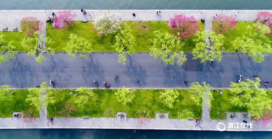 ??? ???? ????? ????? ???? ?? ?????