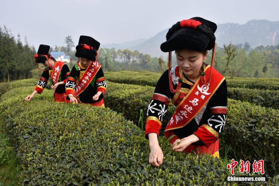 ?????? ??? ????? ????? ??? ??? ????????