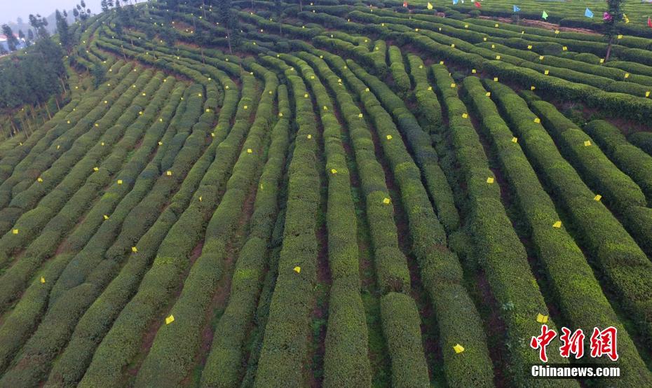 ?????? ??? ????? ????? ??? ??? ????????