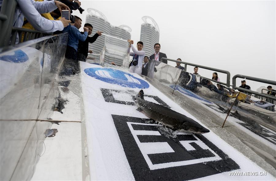 ????? ???? 500 ?? ??? ????? ?????? ?? ??? ?????????