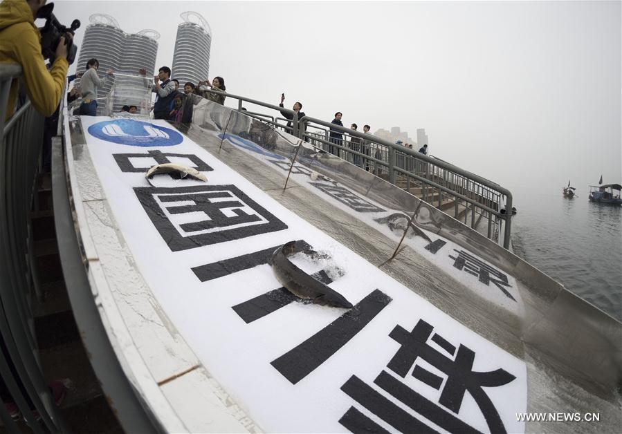 ????? ???? 500 ?? ??? ????? ?????? ?? ??? ?????????