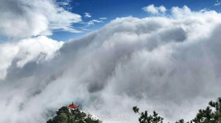 ?????? ????? ?? ????? ??? ??? ??? ?????