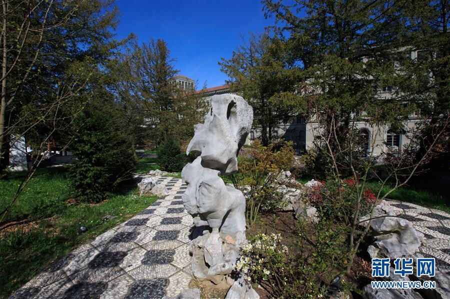 ????? ???? .. ????? ???? ???? ?? ??? ????? ??????? ????????