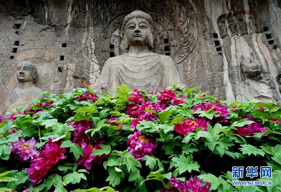 ????? ?????? ??????? ????? ???????? 