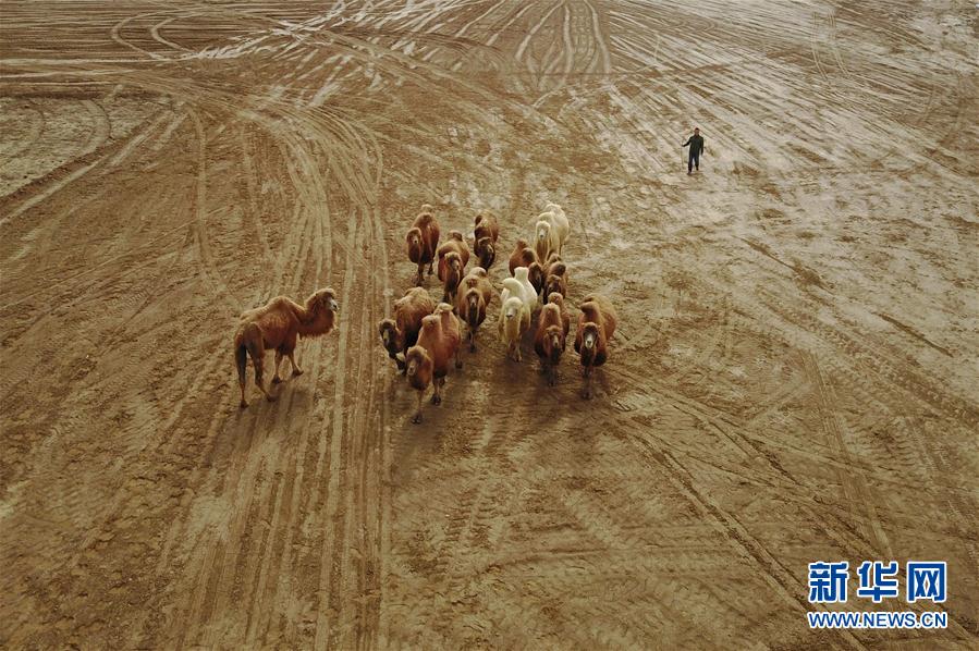 ????? ??????? ???? ????? ????? ??? ???? ???? ??????