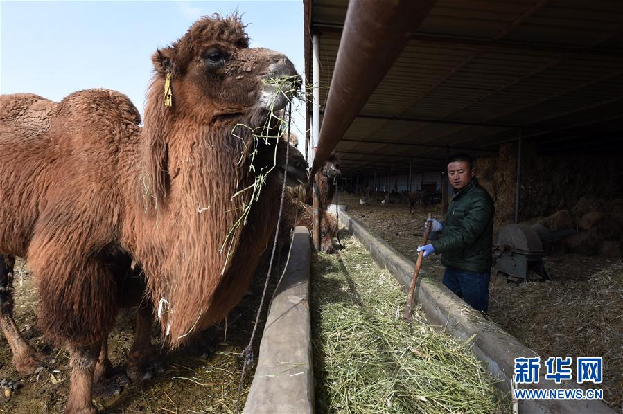 ????? ??????? ???? ????? ????? ??? ???? ???? ??????