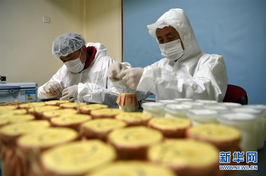 ????? ??????? ???? ????? ????? ??? ???? ???? ??????