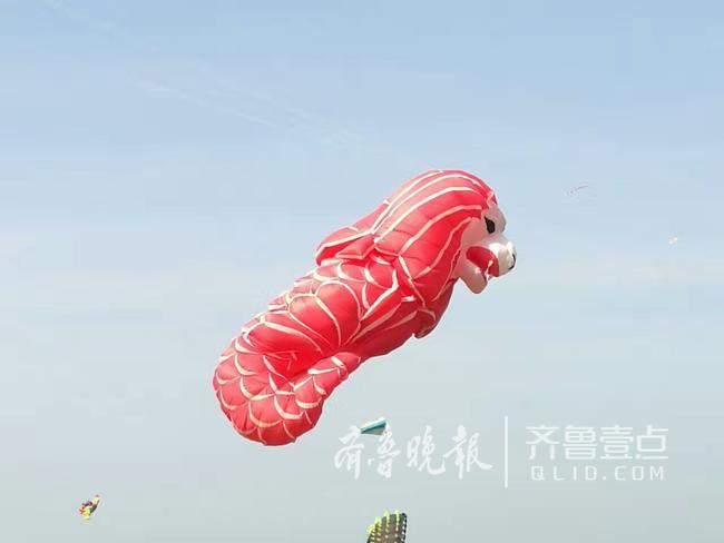 ?????? ?????? ?????? ?????? ???????? ???????