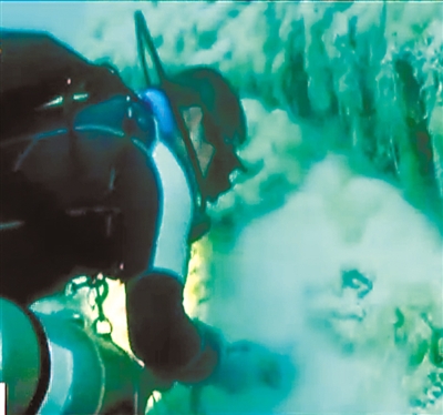 ???? ?????? ????? ???????.. ??? ??? ????? ???????