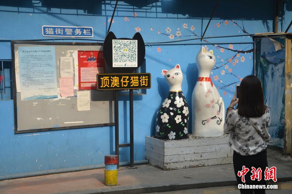 ???? ????? ?????? ?????