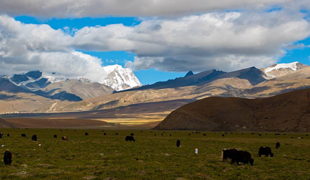 ????? ???? ???? ???? ????? ????? ??????? ?? ???? ????????-?????