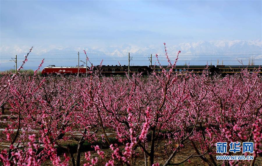 ??????? ??????? ??? ??? 