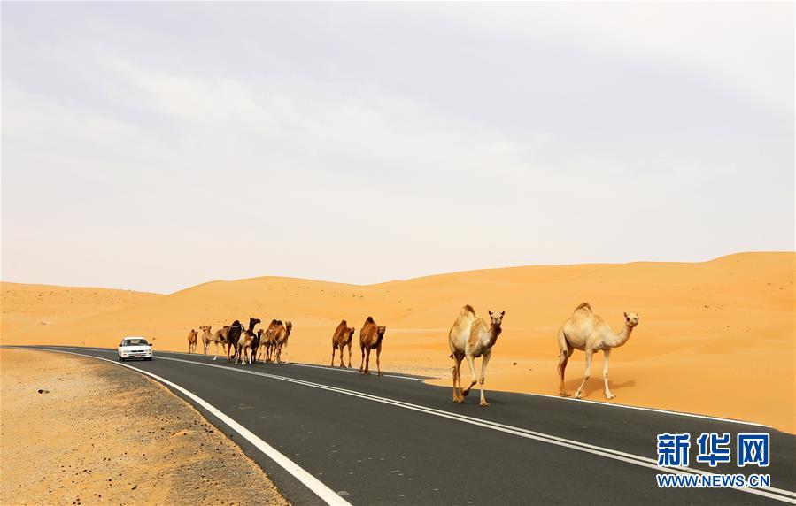 ??????? ??????? ??? ??? 