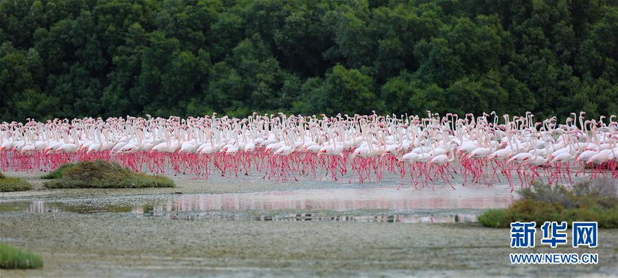 ??????? ??????? ??? ??? 