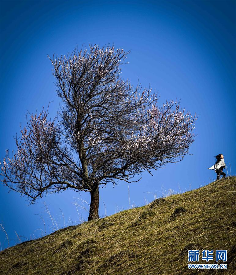 ??????? ??????? ??? ??? 