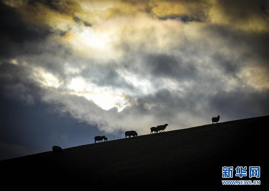 ??????? ??????? ??? ??? 