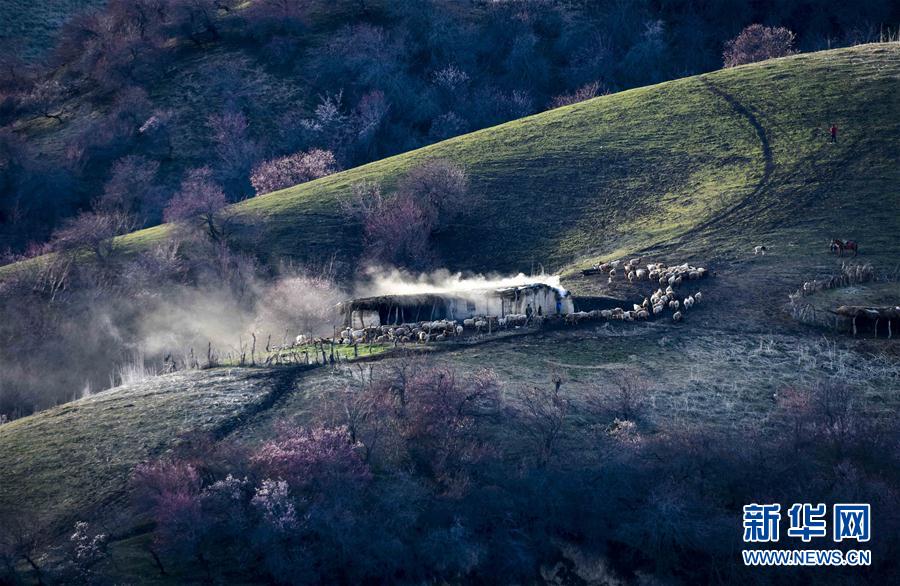 ??????? ??????? ??? ??? 