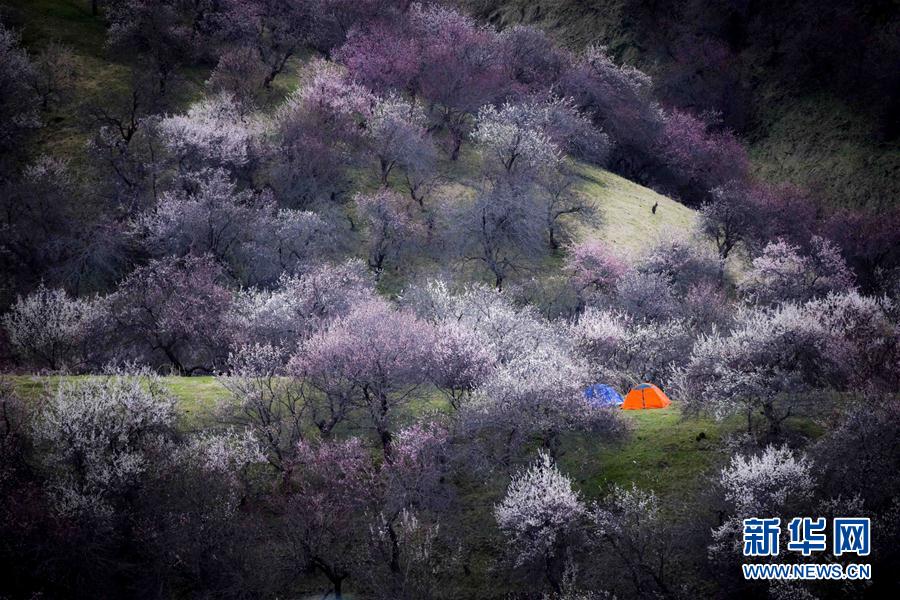 ??????? ??????? ??? ??? 