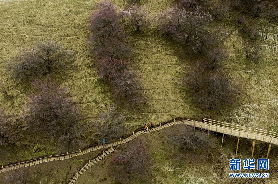 ??????? ??????? ??? ??? 