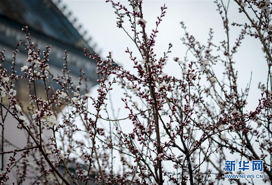 ??????? ??????? ??? ??? 