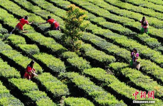 ?????? ?????? ?? ?????? ????? ?????? ?????? ???? ?? ????