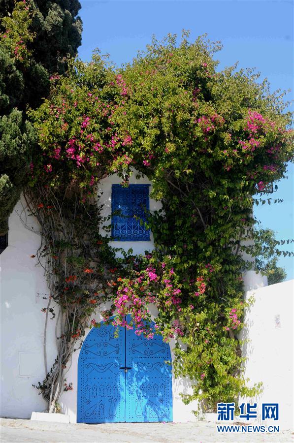 ???? ?? ???? .. ????? ?????? ?????? ?????? ???????