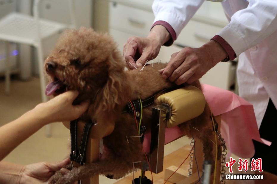 ???? ????? ?????? ?????? ??????