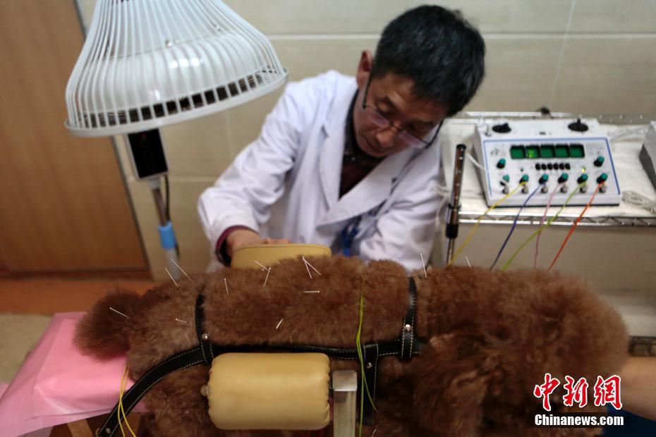 ???? ????? ?????? ?????? ??????