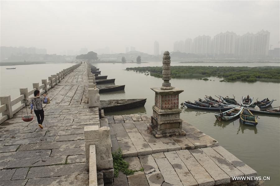 ?? ???? ???????? ????? ????? ???? ?????? ?? ????? ?????????.