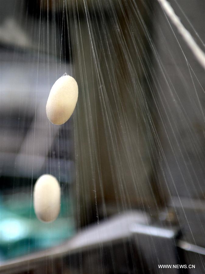 ?????? ???????: ????? - ??? ?????? ????? ?????