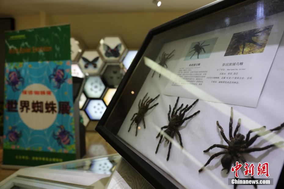 ??????: ???? ??????? ????? ???? ?????? ?? ??????