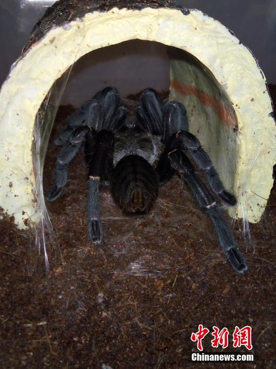 ??????: ???? ??????? ????? ???? ?????? ?? ??????