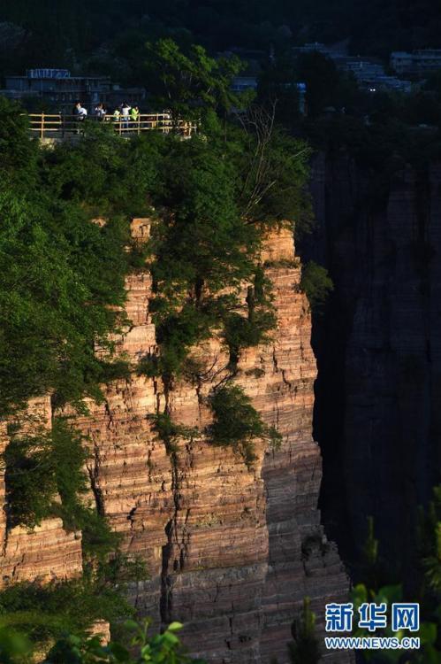 ???? ???? ???? ???? ??? ???? ????? ??? ???? ?????? ?????