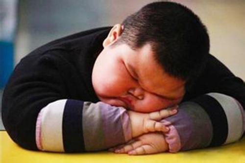 ?????:12% ?? ???????? ?????? ?? ?????? ???????