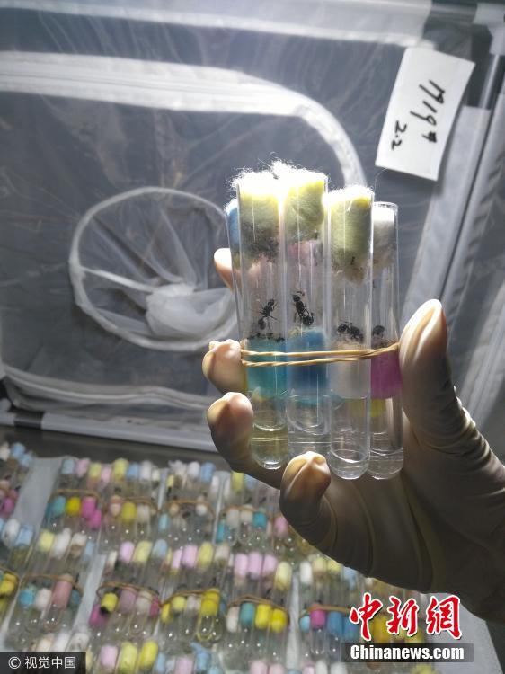 ????? ????? ???? ?????? ????? ????? ????