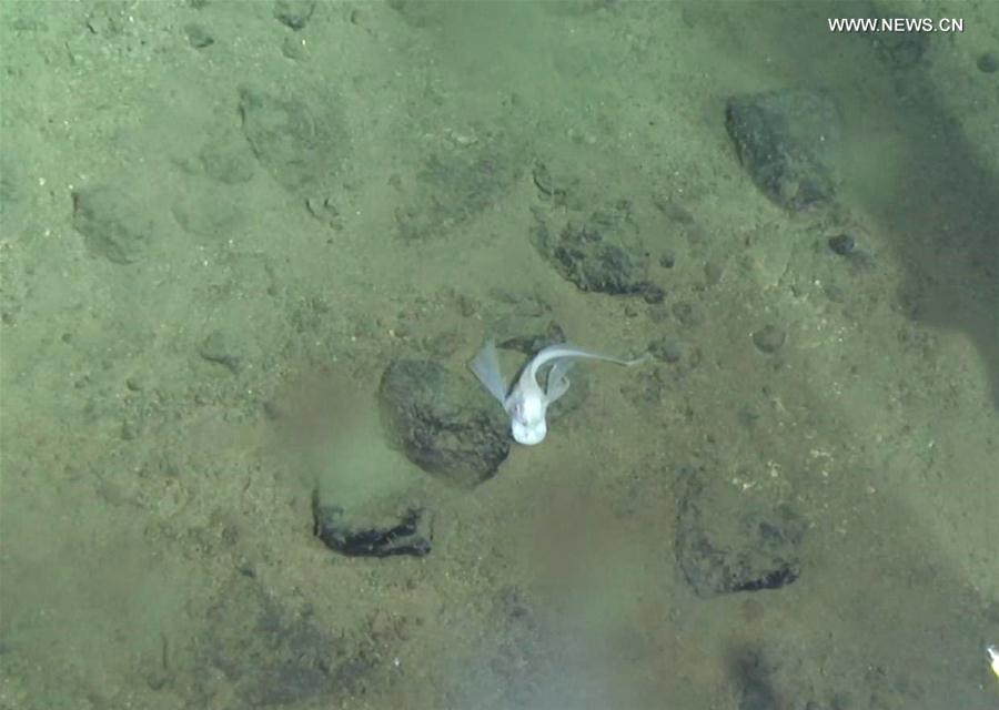 ???????? ??????? ???? ??? ??? 6699 ???? ?? ???? ???????