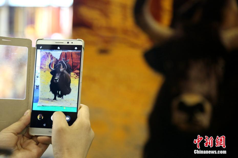 ???? ?????? ?????? ???? ????? ????? ??? ??????